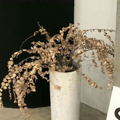 兽设性格设定技巧FurryQQ群